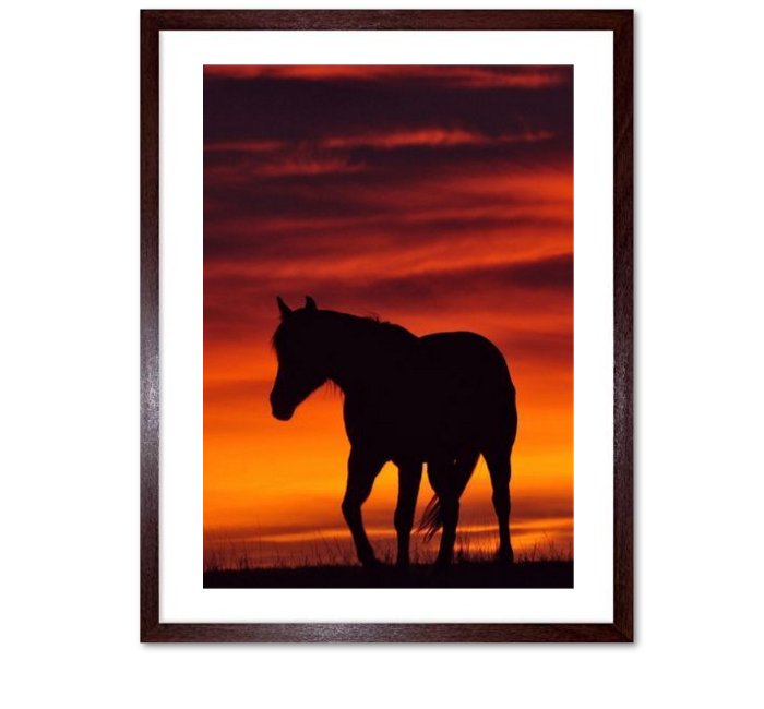 Horse Framed Wall Art Print